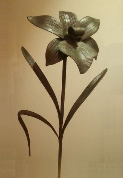 Orchide